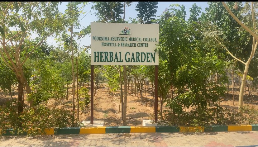 Medicinal Plant Garden – Semi-Arid Deccan Species Collection